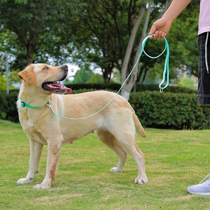Waterproof Dog Leash, 5/6 FT Durable Odor-Proof Dog Leashes with Strong Metal Hooks Fits Small Medium or Large Dogs (Mint Green, 5FT - 3/4 inch Width) - Image 6