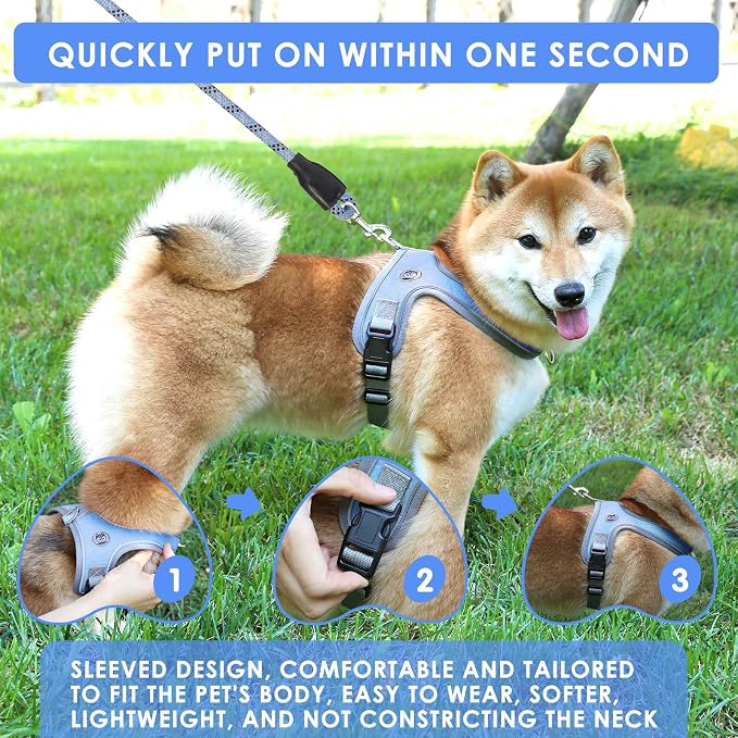 Dog Harness and Leash Set, No Pull Saddle Style Pet Harness, Breathable Mesh Adjustable Reflective Dog Vest for Medium Small Dogs Harness 2 D-Rings, Blue, XS - Image 4