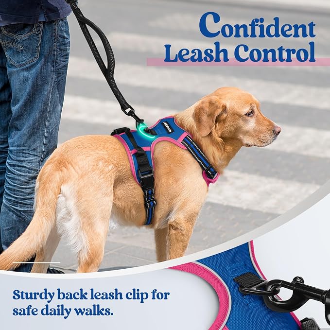 rabbitgoo Dog Harness, No Pull for Large Dogs with 2 Leash Clips, Pet Vest | No Choke with Handle, Adjustable Soft Padded, Reflective, Easy Control for Walking, Blue & Hot Pink, X-Large - Image 6