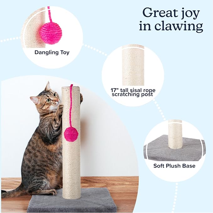 17-Inch Cat Scratching Post - Sisal Rope and Carpet Scratching Pole with Bright Pink Hanging Ball Toy for Adult Cats and Kittens by PETMAKER (Gray) - Image 2