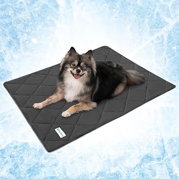 PetAmi Premium Cooling Dog Blanket | Lightweight Fluffy Pet Throw Blanket Bed Cover for Dogs, Cat, Puppies | Pet Blanket Furniture Protector Couch Sofa | Reversible Fuzzy Cozy | 24x32, Grey by PetAmi