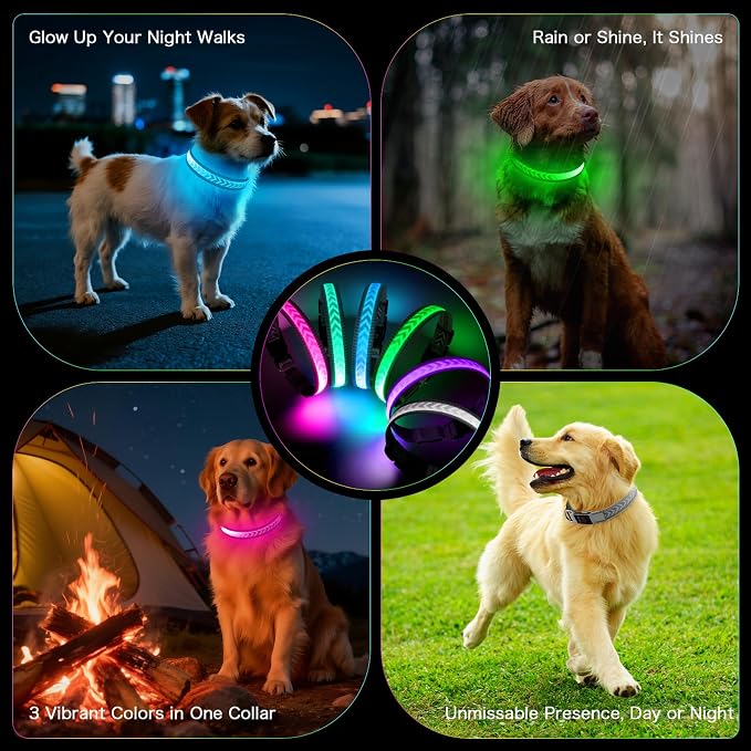 Light up Dog Collar, Multicolor LED Dog Collar Type-C Rechargeable, High Visibility Rainbow Gradient Glow & 7 Light Modes, Adjustable Waterproof Dog Safety Collar for Night Walking (Small) - Image 5