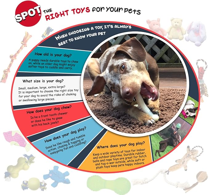SPOT Interactive Seek-A-Treat Shuffle Bone Dog Toy Puzzle | Dog Treat Reward Toy Improves Your Dog's IQ | Specially Designed for Training Treats - Image 9