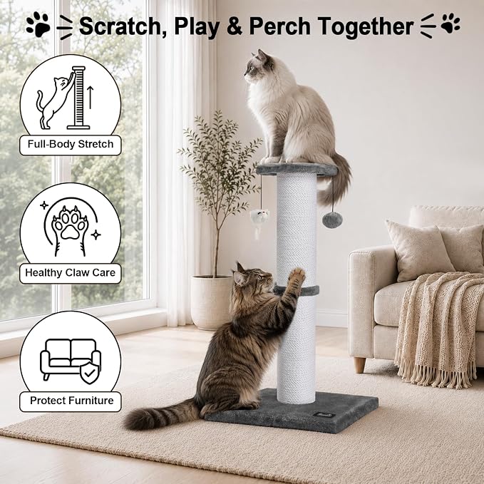 34-Inch Tall Cat Scratching Post for Large Cats, Stable Base, Gray | Heavy-Duty Cat Scratcher, Extra-Tall Thick Post, Soft Natural Cotton Rope, Hanging Interactive Cat Toys, Indoor Cat Furniture - Image 3