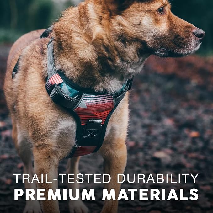 Embark No Pull Dog Harness, Reflective Adjustable Training Vest, No Choke | Adjustable straps fit all dog breeds with sturdy hooks; 360° reflective trim, soft padded Harness Design for All Dogs - Image 5