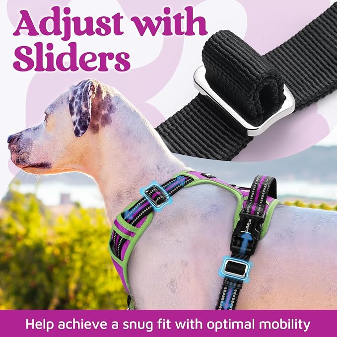 rabbitgoo Dog Harness Medium Sized, No Pull 3 Buckles Easy On & Off | Soft Padded, Walking with Control Handle, Adjustable and Reflective, Purple & Light Green, Medium - Image 5