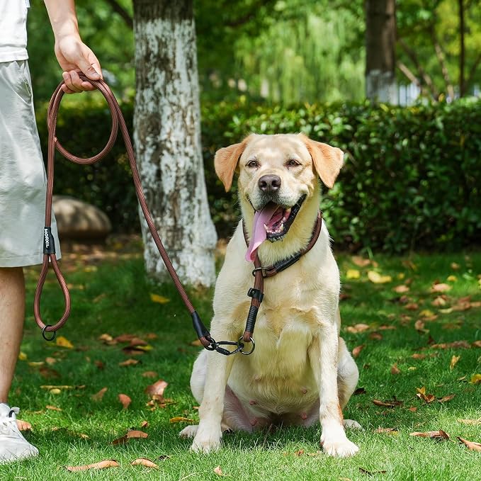 Rope Dog Leash, 4 ft Heavy Duty Dog Leash with Aviation Aluminum Auto Locking Carabiner, Strong Nylon Pet Lead for Small, Medium, Large Dogs (Yellow, 4FT) - Image 5