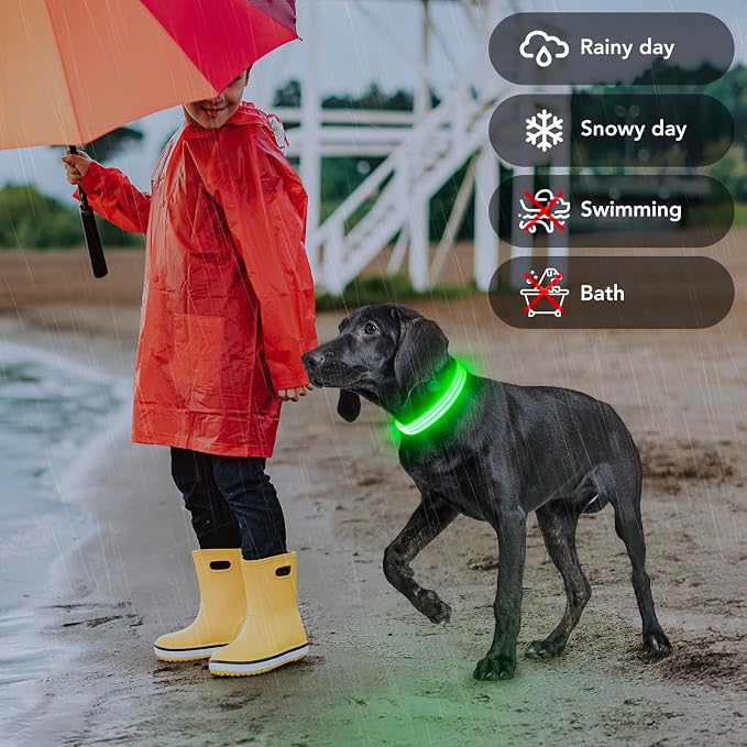 Light Up Dog Collars Rechargeable, Reflective LED Glow Dark Dog Collar for Small Medium Large Dogs, Adjustable Pet Dog Lights for Safe Night Walk-Green, Medium - Image 6