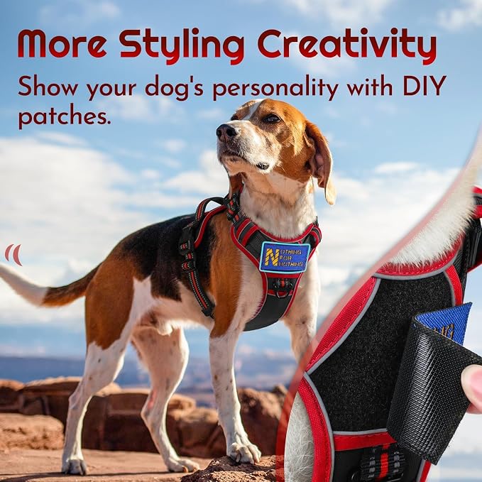Eagloo Dog Harness No Pull for Small Dogs, Easy On & Off with 3 Buckles | No Choke with Front Clip, Adjustable Fit, MOLLE System, Reflective Vest, Easy Control for Walking, Black & Red, Small - Image 3
