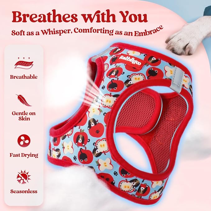 rabbitgoo Dog Harness Small Sized and Leash Set, Step-in Puppy Pet Vest | Light, Soft, Breathable Air Mesh, Easy on and Remove with Hook & Loop, Secure Reflective for Walking, Apple Pups XXS - Image 4