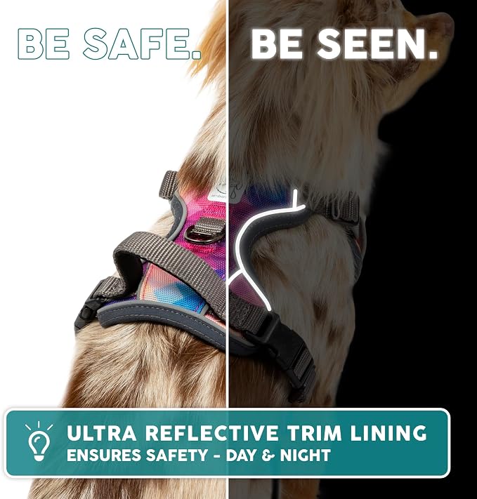 Embark No Pull Dog Harness, Reflective Adjustable Training Vest, No Choke | Adjustable straps fit all dog breeds with sturdy hooks; 360° reflective trim, soft padded Harness Design for All Dogs - Image 7