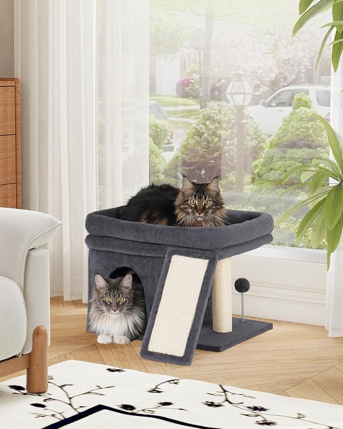 Aechonow Cat Tree for Large Cats, 20x16.5 Perch Bed for Adult Senior Cats | 14" Cat Tree Tower with Scratching Post, Removable Washable Mat, Dark Gray - Image 7