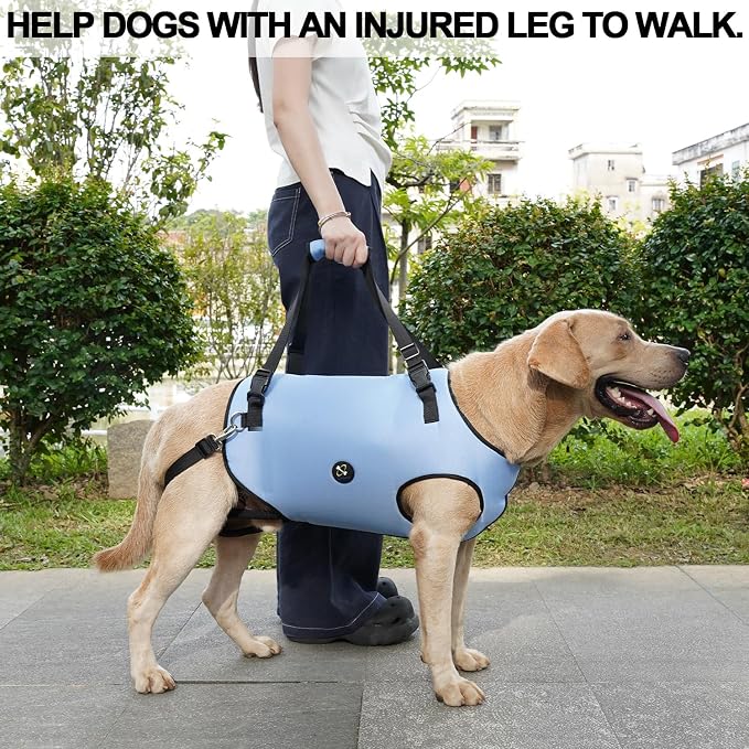 Coodeo Dog Lift Harness, Pet Support & Rehabilitation Sling Lift Adjustable Padded Breathable Straps for Old, Disabled, Joint Injuries, Arthritis, Loss of Stability Dogs Walk (Blue, M) - Image 6