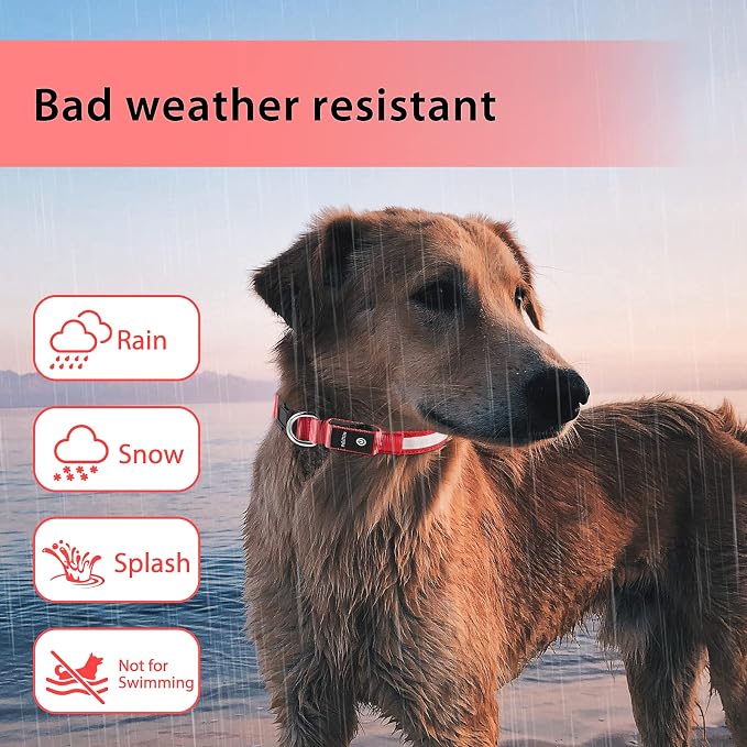 PcEoTllar Light up Dog Collar, Safe for Night Walking, Adjustable, Red, S | Colorful RGB Light, Waterproof, For Small Medium and Large Dogs, Durable Material, USB to Charge - Image 5