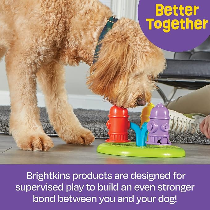 Brightkins Gamepad Training Clicker | Dog Training Tools, Puppy Clicker Toy, Clickers for Dogs and Cat, Dog Trainer Supplies, Pet Obedience Training Aid - Image 9