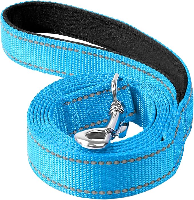6FT Reflective Dog Leash, Padded Handle for Small Medium Dogs | Comfortable Nylon, Soft Handle Cushioning, Reflective Safety at Night, Walking Leash for Park & Hiking (3/4in, Aqua Blue) by Erbine