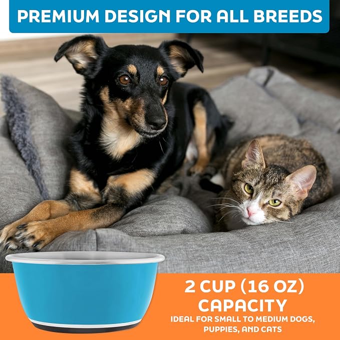 Master Pet Supply Stainless Steel Dog Bowls Set of 2 - True Blue - 16 Oz | Non-Slip Rubber Base, Basic Dog Food Bowl Water & Food Bowls for Small, Medium, Large Dogs & Cats Metal Dish - Image 7