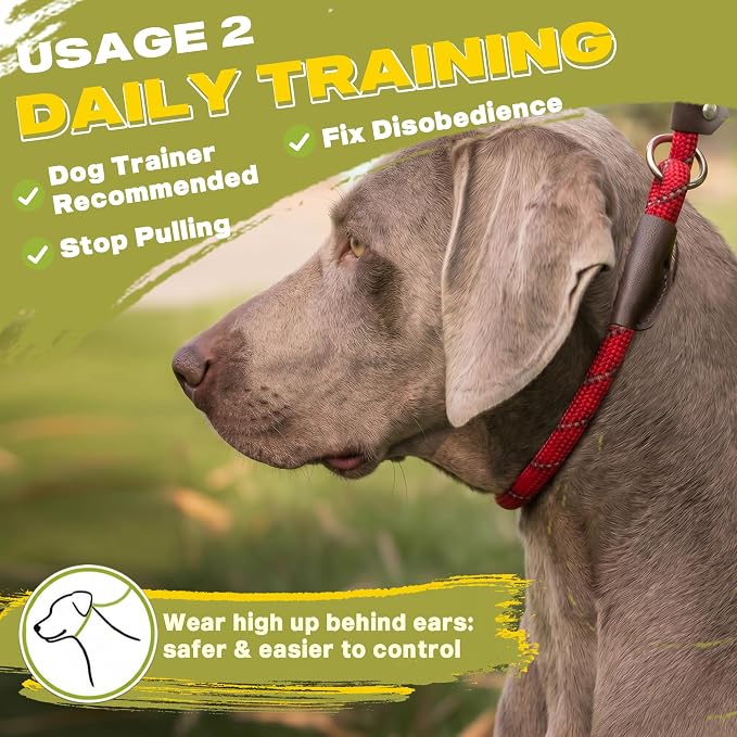 Fida Slip Lead Dog Leash 5 Pack, 6 FT x 1/2" Dog Training Leash, Red | For Large Medium Dogs, Comfortable Heavy Duty Rope Slip Leash, Highly Reflective for Night Safety, No Pull Pet Loop Leash - Image 5