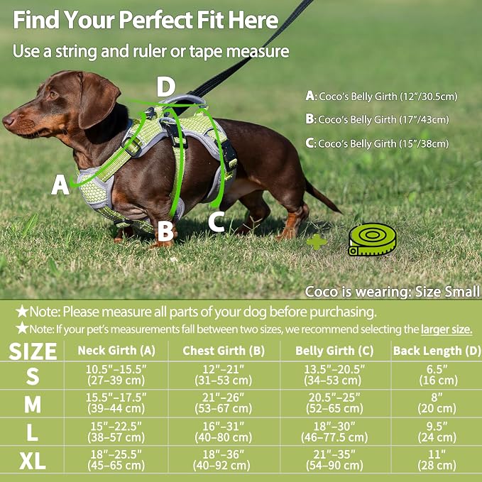 Escape Proof Dog Harness, Dachshund Harness, Reflective Dog Harness with Handle, Durable,Adjustable Vest for Small Medium Large Dogs Walking, Training, and Running Gear (Green,S) - Image 6