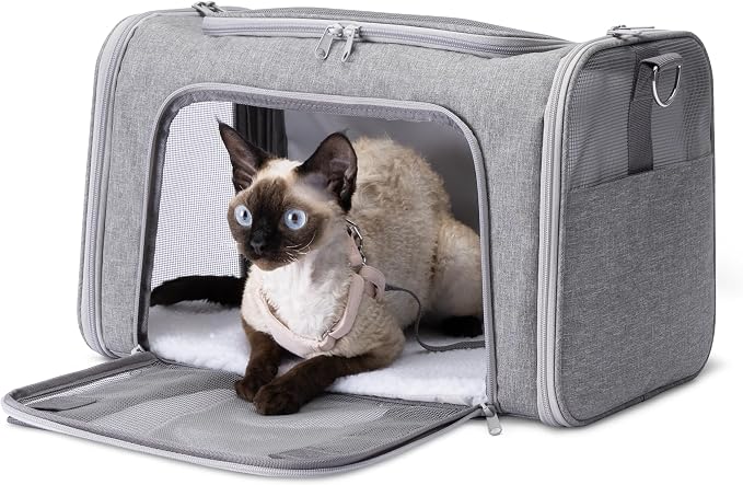 Amazon Basics Soft Cat & Dog Carrier with Adjustable Shoulder Strap, Airline-Approved, Foldable and Portable Design, Mesh Ventilation, Folds Flat for Storage by AmazonBasics