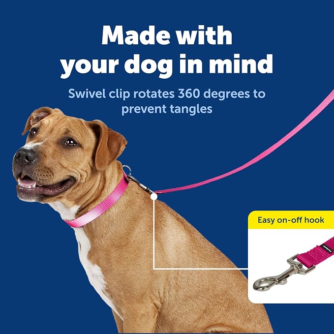 PetSafe Nylon Dog Leash - Strong, Durable, Traditional Style Leash with Easy to Use Bolt Snap - 3/4 in. x 6 ft., Deep Purple | Durable Nylon Leash with Easy on/off Bolt Snap Hook, Pairs Perfectly with Easy Walk Harness and Gentle Leader Headcollar - Image 3