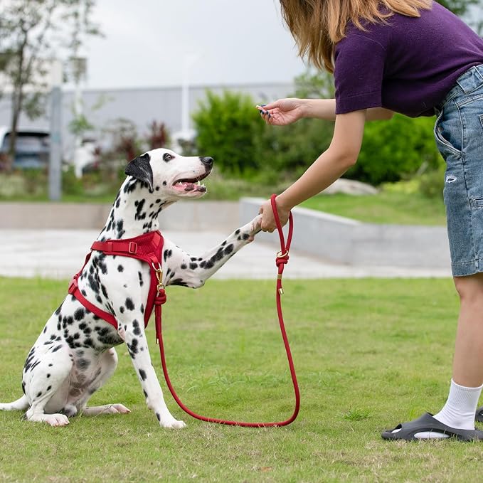 5FT Dog Leash Puppy Cat Rope Lead for Small Medium Large Dogs | Burgundy Red,with Anti-tangle Swivel Clip, Comfortable Grip Handle,Ideal for Daily Walks and Training - Image 7