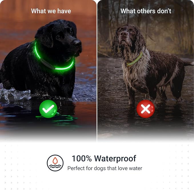 PAJ Light LED Dog Collar for Medium & Large Dogs | USB Rechargeable - Waterproof - 7 Light Colors - Flash Mode - Cut-to-Fit Length - Image 8