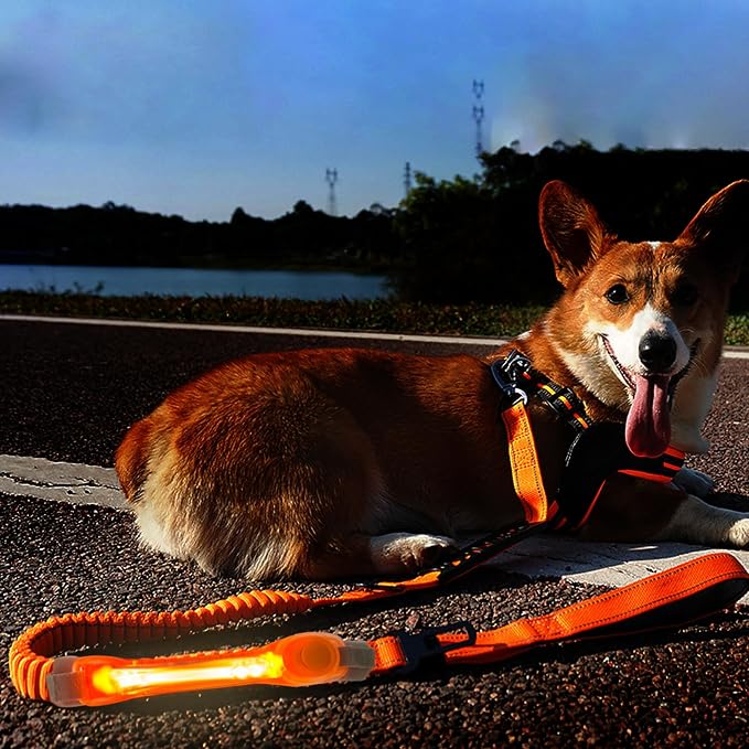 2 Pack LED Light for Dog Leash Harness, Light Up Dog Collar with Nylon Stickers, Waterproof Glow Light Easy to Attach to Collar Leash and Harness, Safety LED Light Up Band for Dogs at Night Walking - Image 6