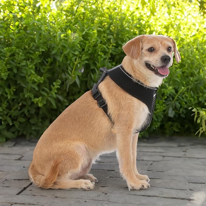 Best Pet Supplies Voyager Aerolite Over the Head Dog Harness, No Pull Breathable Air Mesh Vest, Quick Dry with Reflective Stitching, Adjustable Escape Resistant Harness - Black, X-Small - Image 6