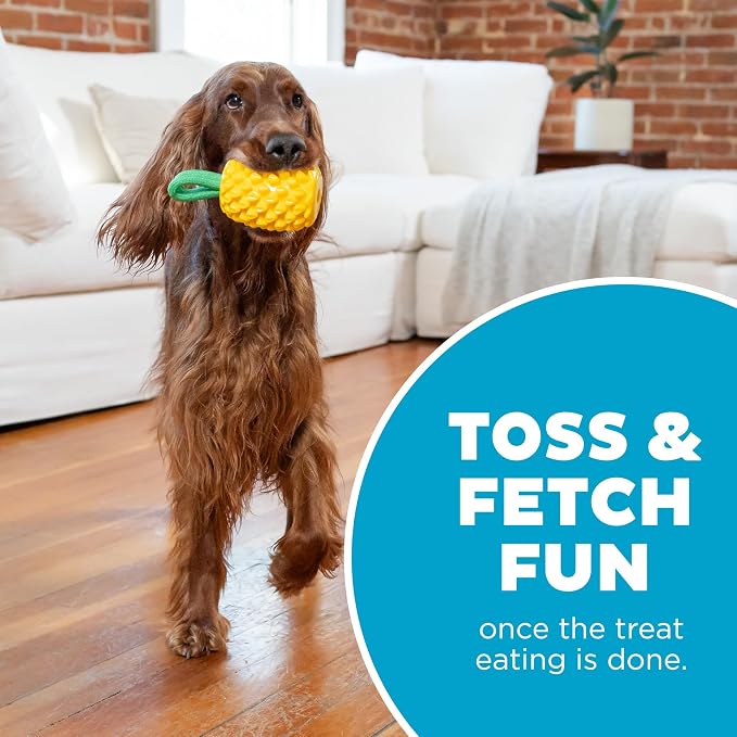 Outward Hound Dental Pineapple Dog Toy & Treat Stuffer, 6.8″ x 3.3″ Pineapple-Scent Interactive Chew for Dogs, Promote Healthy Teeth, Gums & Mental Enrichment, Reduce Boredom & Support Dental Health - Image 5
