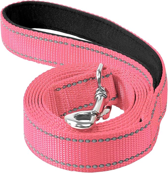 4FT Reflective Dog Leash, Padded Handle for Medium Large Dogs | Comfortable Nylon, Soft Handle Cushioning, Reflective Safety at Night, Training Leash for Park & Hiking (1in, Neon Pink) by Erbine