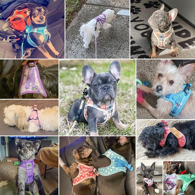 BEAUTYZOO Dog Harness Medium Sized and Leash Set,No Pull Pet Vest -Floral,M | Step-in Easy On/Off, All Season Breathable Mesh,Escape-Proof Hook & Loop,Lightweight Reflective,No Choke,Easy Walking Control - Image 6