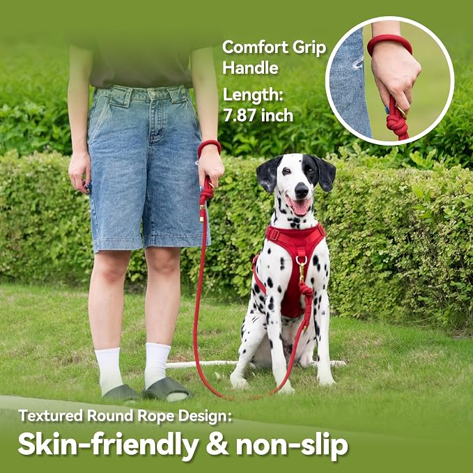 5FT Dog Leash Puppy Cat Rope Lead for Small Medium Large Dogs | Burgundy Red,with Anti-tangle Swivel Clip, Comfortable Grip Handle,Ideal for Daily Walks and Training - Image 4