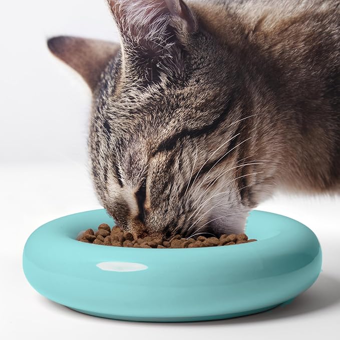CatGuru Cat Food Bowl, Ceramic Bowls for Indoor Cats, No Spill Cat Feeding Bowl, Whisker Stress Free Kitten Bowls, Non Skin Pet Bowls for Food and Water (Torus - Set of Two, Aruba) - Image 7