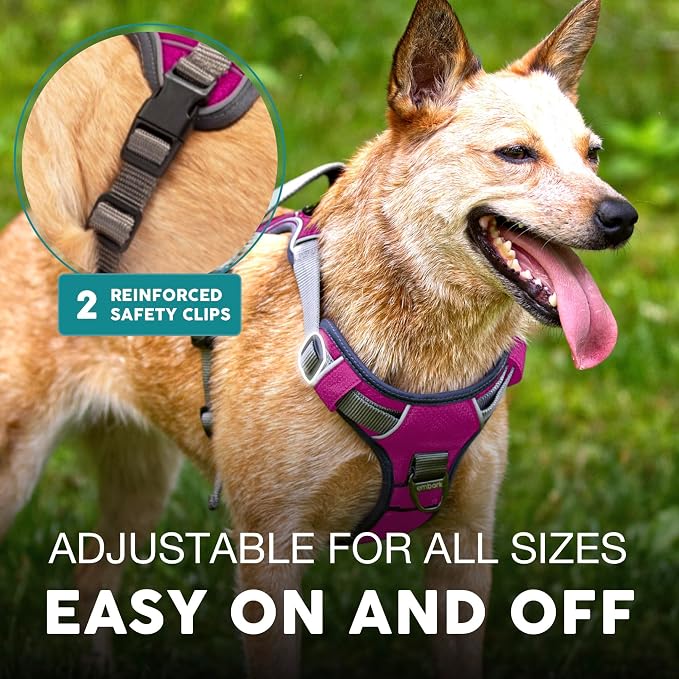 Embark No Pull Dog Harness, Reflective Adjustable Training Vest, No Choke | Adjustable straps fit all dog breeds with sturdy hooks; 360° reflective trim, soft padded Harness Design for All Dogs - Image 5