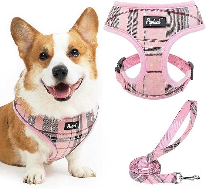 PUPTECK Small Dog Harness and Leash Set No Pull for XS XXS Sized Dogs Puppy | Escape Proof No Choke Pet Cat Adjustable Soft Padded Walking Vest by PUPTECK