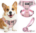 PUPTECK Small Dog Harness and Leash Set No Pull for XS XXS Sized Dogs Puppy | Escape Proof No Choke Pet Cat Adjustable Soft Padded Walking Vest by PUPTECK