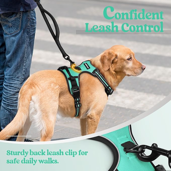 rabbitgoo Dog Harness, No Pull for Large Dogs with 2 Leash Clips, Pet Vest | No Choke with Handle, Adjustable Soft Padded, Reflective, Easy Control for Walking, Turquoise, X-Large - Image 6