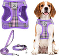 PUPTECK Dog Harness, Collar and Leash Set No Pull for Small Medium Sized | Plaid Puppy Step-in Escape Proof Reflective No Choke Pet Cat Adjustable Walking Vest by PUPTECK