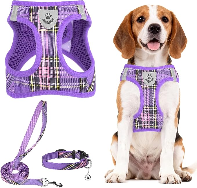 PUPTECK Dog Harness, Collar and Leash Set No Pull for Small Medium Sized | Plaid Puppy Step-in Escape Proof Reflective No Choke Pet Cat Adjustable Walking Vest by PUPTECK
