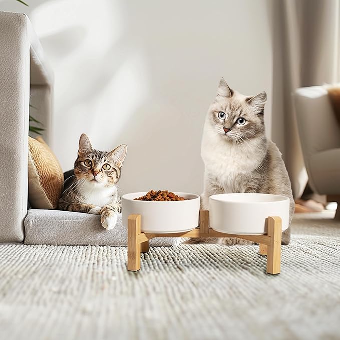Elevated Ceramic Dog Bowl, 2 Cups Dog Food and Water Bowl Set with Stand | 5.1'' Double Dog Feeding Dishes, Non-Slip Raised Dog Feeder for Cats and Puppies, 16.23 OZ / 480 ML, White - Image 6