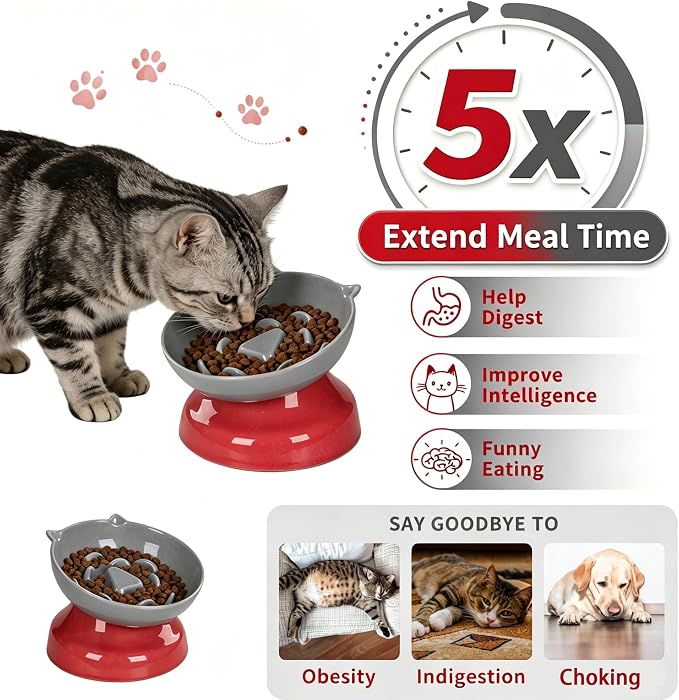 Ceramic Slow Feeder Cat Bowl, 15-Degree Tilted Non-Slip | Food-Grade Ceramic For Indoor Cats, 5.3 In Shallow Bowl, Whisker-Friendly, Dry And Wet Food, Dishwasher Safe - Image 3