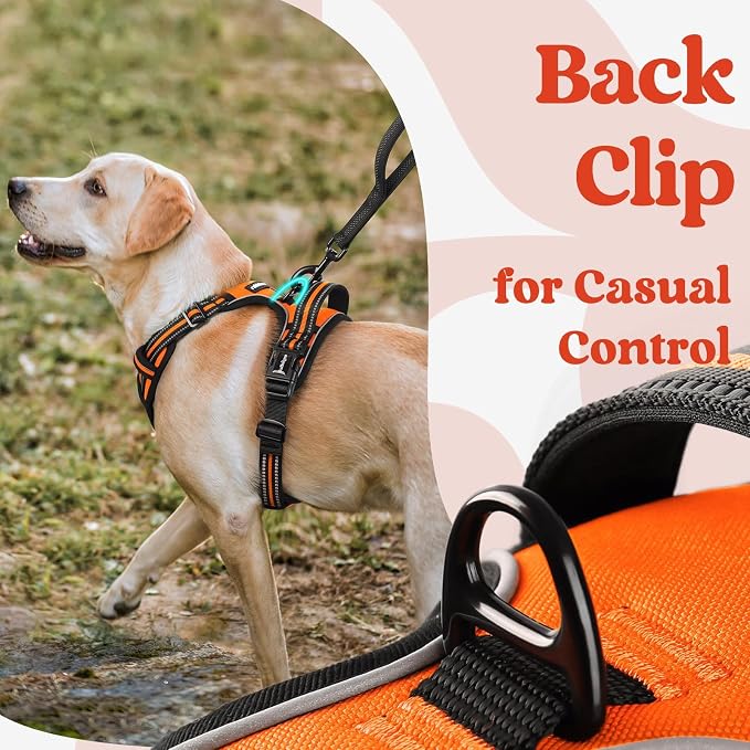rabbitgoo Dog Harness for Large, Updated Easy On & Off with 3 Buckles | No Pull No Choke, Walking with 2 Clips and Handle, Adjustable Soft Reflective, Orange, Large - Image 5
