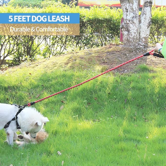 2/4/5/6 FT Dog Leash with Comfortable Padded Handle and Highly Reflective Threads for Small Medium and Large Dogs (5FT-1/2'', Red) - Image 5