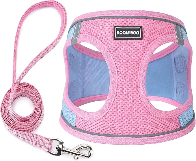 Dog Harness with Leash Set, Step-in Adjustable Puppy Vest, Pink Green S | Lightweight Breathable Air Mesh, Night Safety Reflective, No Pull Puppy Vest Harnesses for Small Medium Large Dogs, Cats by BOOMIBOO