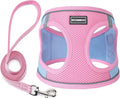 Dog Harness with Leash Set, Step-in Adjustable Puppy Vest, Pink Green S | Lightweight Breathable Air Mesh, Night Safety Reflective, No Pull Puppy Vest Harnesses for Small Medium Large Dogs, Cats by BOOMIBOO