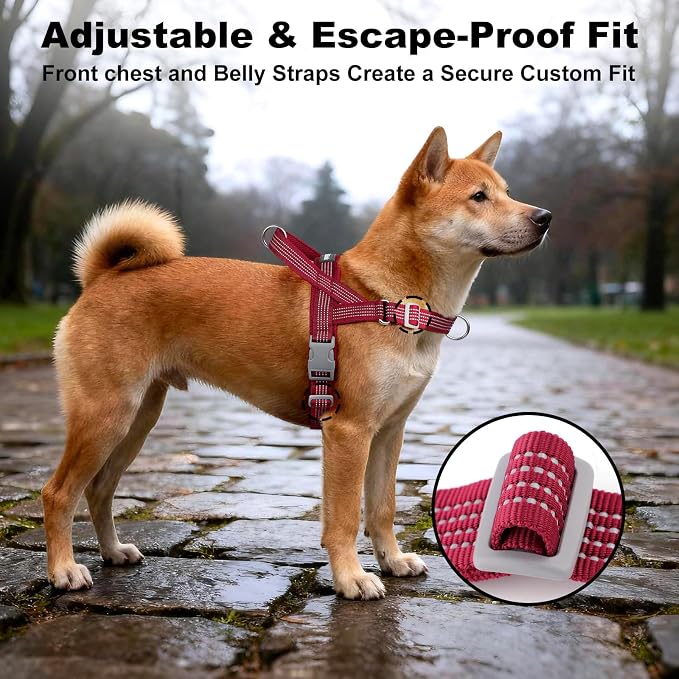No Pull Dog Harness with Handle, Adjustable Soft Mesh Padded Vest | Reflective Walking Harness with Front Clip for Small Medium Large Dogs, Quick Fit No Escape for Training, Red, L - Image 5