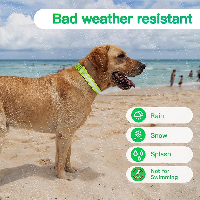 LED Light Up Dog Collar for Night Safety Walks, Green, M | USB rechargeable, waterproof & pet-safe, 3 lighting modes, long-lasting glow, adjustable S/M/L, soft comfy daily walk fit - Image 6