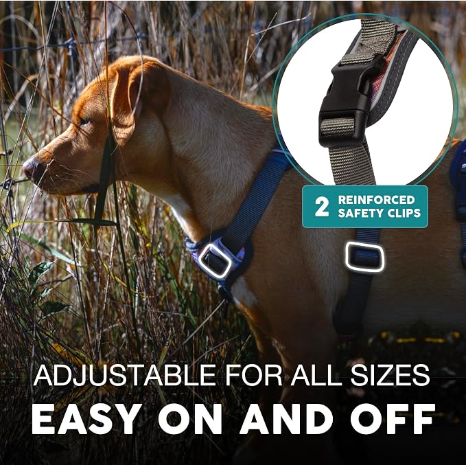 Embark No Pull Dog Harness, Reflective Adjustable Training Vest, No Choke | Adjustable straps fit all dog breeds with sturdy hooks; 360° reflective trim, soft padded Harness Design for All Dogs - Image 4