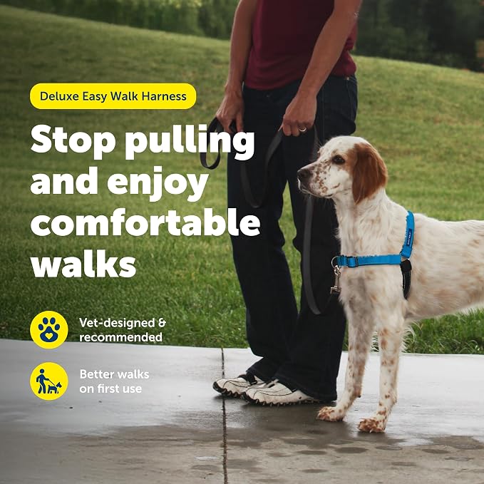 PetSafe Easy Walk Deluxe Dog Harness, No Pull Dog Harness – Perfect for Leash & Harness Training – Stops Pets from Pulling and Choking on Walks – Medium, Ocean - Image 4